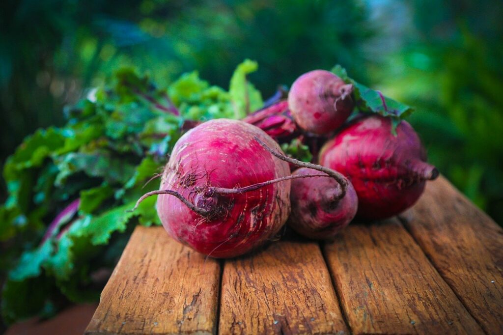 résilience alimentaire